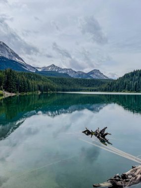 Sakin bir dağ gölü bulutlu gökyüzünü ve ormanlık tepeleri yansıtıyor. Yıpranmış bir odun parçası suda yüzüyor ve sakin manzaraya ilgi çekici bir unsur ekliyor..
