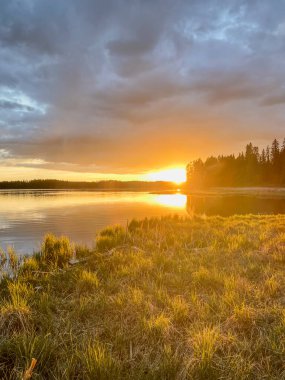 Sakin bir gölün üzerinde güzel bir günbatımı, sudaki altın ışık ve ağaçlarla çevrili çimenli bir kıyı şeridi. Sahne huzurlu doğal güzellikleri sergiliyor..