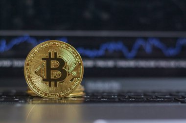 Hisse senedi, kripto piyasa mumları, grafikler ya da dizüstü bilgisayarı olan bir ekranın önünde tek bir fiziksel altın bitcoin.