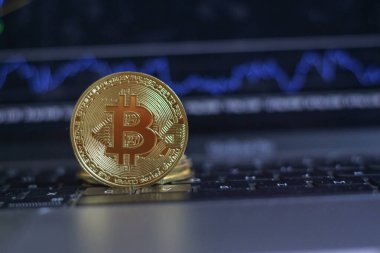 Ticaret şeması dizüstü bilgisayarda görüntülendi. Borsa, şamdan şeklinde trend çizgisi. Borsada bitcoin döviz kuru düşüşü. Grafiğin arka planında altın bitcoin para.