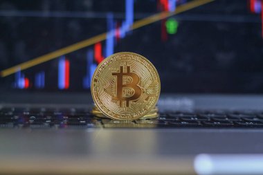 Hisse senedi, kripto piyasa mumları, grafikler ya da dizüstü bilgisayarı olan bir ekranın önünde tek bir fiziksel altın bitcoin.