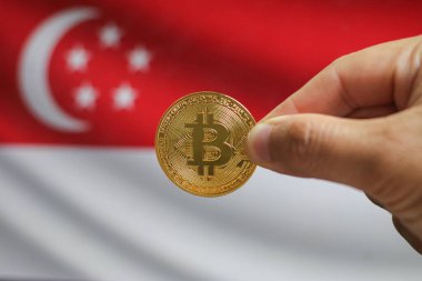 Bitcoin (yeni sanal para birimi) ve Singapur bayrağının fiziksel versiyonunu tutun. Singapur kripto para birimi ve engelleme teknolojisi yatırımcısı konsept haritası