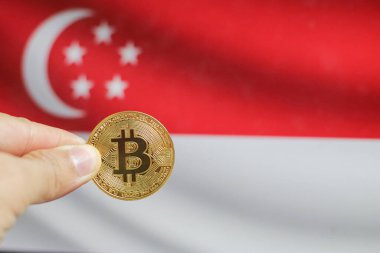 Bitcoin (yeni sanal para birimi) ve Singapur bayrağının fiziksel versiyonunu tutun. Singapur kripto para birimi ve engelleme teknolojisi yatırımcısı konsept haritası