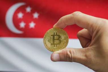 Singapur bayrağı ve büyük miktarda altın bitcoin sikkeler ve ticaret platformu çizelgesi. Kripto para birimi kavramı