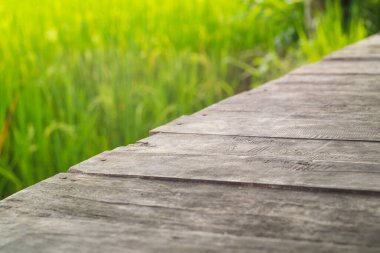 Pirinç tarlasında ahşap eski masa ve bulut arka planı. Ürün yerleştirme ya da ön plandaki masanın üstüne odaklı montaj için. Boş ahşap kahverengi raf. raflar