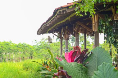 Doğa manzaralı bir kafe.