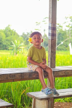 Asyalı çocuklar. 4 yaşında bir çocuk, doğal pirinç tarlası atmosferi olan bankta oturuyor. Bali 'de tatil kavramı.