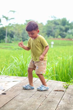 Küçük çocuklar pirinç tarlasında oynar ve keşfederler. Doğada çevre dostu tarım ve sürdürülebilir yaşam kavramı evde kendi yiyeceğini yetiştirir..