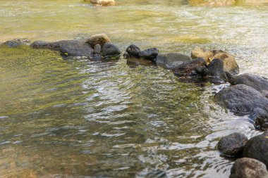 Yuvarlak taşlarla dolu bir nehir.
