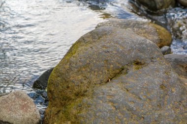 Büyük düz kaya çizimi, ürün sergisi için gri taş kaidesi, arka planda yeşil orman, doğal manzara, yumuşak ışık