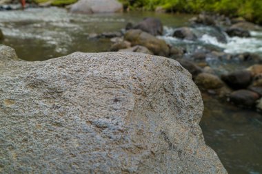 Büyük düz kaya çizimi, ürün sergisi için gri taş kaidesi, arka planda yeşil orman, doğal manzara, yumuşak ışık
