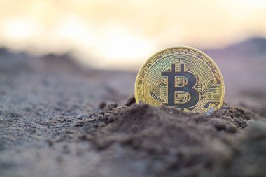bitcoin buried in soil, ground