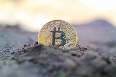 Sikke bitcoin toprağa. Bitcoin büyüme kavramı.