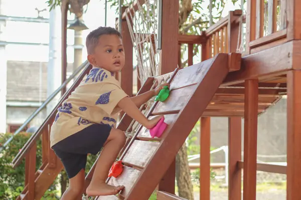 Tatlı Asyalı 2-3 yaşındaki küçük çocuk oyun alanındaki yapay kayalara tırmanmaya çalışırken eğleniyor, küçük çocuk kaya duvarına tırmanıyor, El ve Göz Koordinasyonu, Motor Yetenekleri Geliştirme