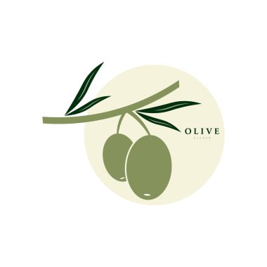 Yapraklı zeytin dalı logosu. Modern el yapımı zeytinyağı ikonları. Zeytin yağı şirketi için markalaşma konsepti, organik, çevre dostu petrol ürünleri, sağlık, güzellik, aşçılık hizmetleri