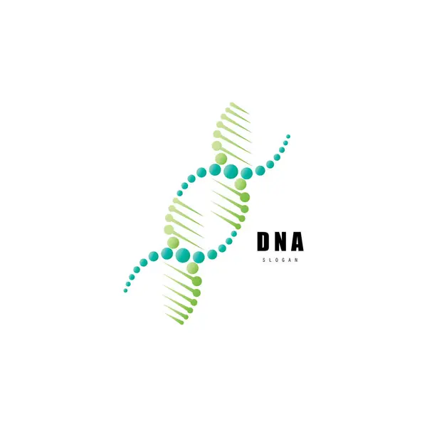 DNA molekül logosu tasarımı. Tıbbi gen sarmal yapı logoti vektörü konsepti destekler. Genetik logo
