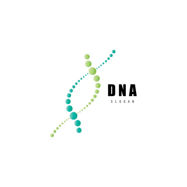 DNA molekül logosu tasarımı. Tıbbi gen sarmal yapı logoti vektörü konsepti destekler. Genetik logo