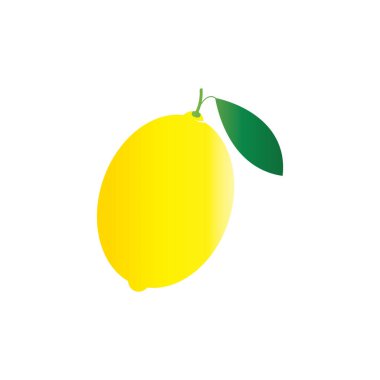Taze limon meyveli logo, limonlu logo çizimleri.