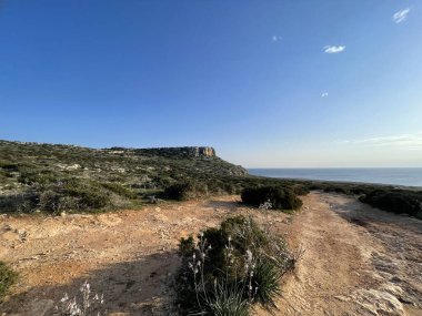 Cavo Greco Kıyı Hattı Cavo Greco kıyı şeridi boyunca uzanan kayalık bir toprak yol alçak bitki örtüsü ve sarp kayalıkların berrak mavi gökyüzü ile buluştuğu yerde yürüyüş ve keşif için mükemmel bir manzara yaratıyor..