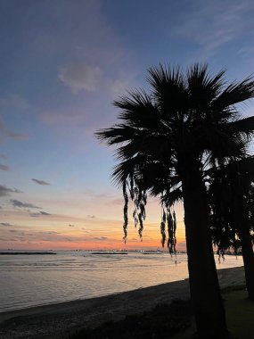 A breathtaking sunset in Oroklini with vivid hues painting the sky. The palm-lined walkway by the serene coast offers a perfect spot for an evening stroll and a glimpse of Cyprus's natural charm. clipart