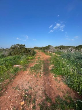 Kıbrıs Rum Kesimi 'nin Ayia Napa kentindeki Cavo Greco' nun canlı izlerini araştırın. Berrak bir gökyüzü altında yemyeşil ve kır çiçekleriyle çevrili bu sakin yol, Akdeniz doğasına cennet gibi bir kaçış sunuyor.