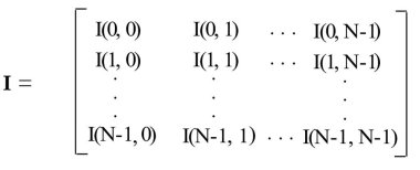 This image shows a matrix notation representing pixel intensity values, I(x, y), for an image with N rows and columns. Essential for computational imaging analysis and digital processing techniques. clipart