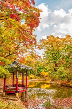 Güney Kore, Seul 'de sonbahar mevsimi boyunca Changdeokgung Sarayı' nın gizli bahçesinde bulunan bir deniz kenarı pavyonu..