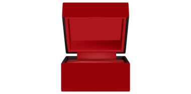 Lüks Kırmızı Mücevher Davası Vektör İllüstrasyonu.