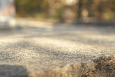 Close-up of textured stone surface under soft natural light. clipart