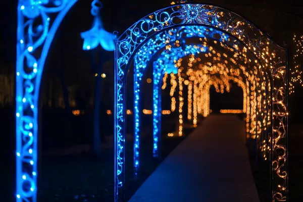 christmas decoration with blue lights