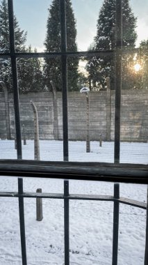 Prisoners View: Barbed Wire Through the Frosted Window. clipart