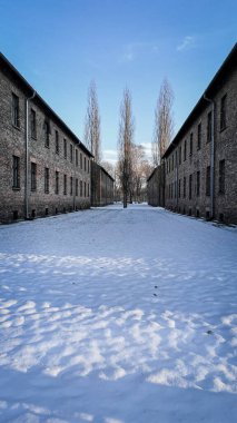 Auschwitz Tuğla Blokları Arasında Karla Kaplanmış Yol.