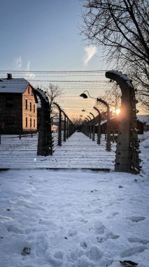 Barbed Wire Sunset: Silent Path Through Auschwitz. clipart