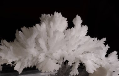 Fotoğrafta kar beyazı bir kristal var. Tüylere ya da kar tanelerine benziyor. Yapısı kırılgan ve kabarık görünüyor, keskin kenarları siyah arkaplana vurgulanmış..