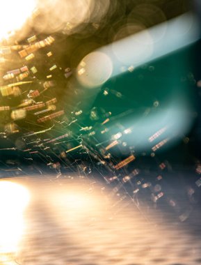 Fotoğraf arka planda renkli renklerle parıldayan bir örümcek ağını gösteriyor. Bulanık arka plan soyut bir atmosfer yaratıyor ve iplikler güneş ışığında parıldıyor..