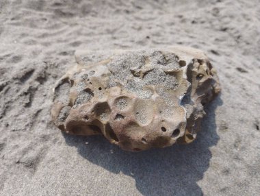 Yıpranmış Kum Taşı dokusu Arkaplanı