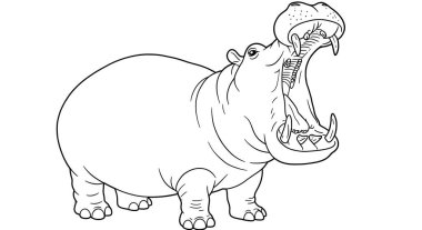 Ağzı sonuna kadar açık bir Hippo 'nun Büyük Teet' ini gösteren Boyama Sayfası 