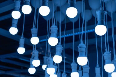 Hanging LED Light Bulbs on Blurred Background, Cold Energy Saving Lamp, Blue Light of Incandescent Lightbulbs