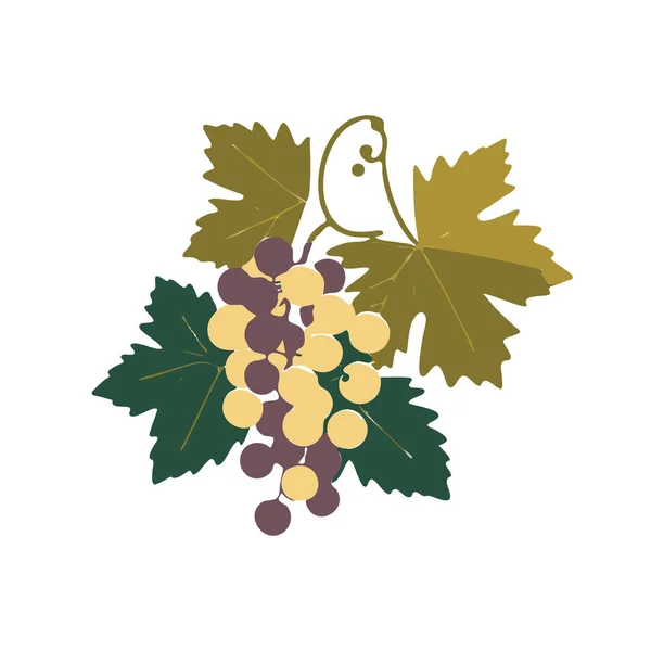 Grape Icon Grapevine Pictogram Vin Frukt Symbol Mogen Grape Bunch — Stock vektor