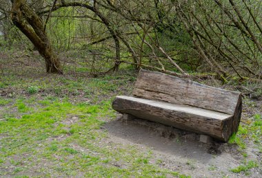 Park 'taki eski püskü ahşap tezgah Tek Ağaç Gövdesi, Açık Hava Mimarisi, Ahşap Banklar, Açık Hava Koltuğu, Kamu Mobilyaları, Dinlenme Alanında Rustik Benç