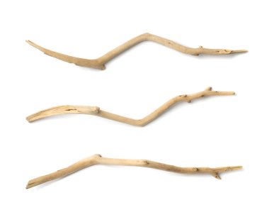 Driftwood Stick izole, Sea Wood Branch, Drift Wood on White Background