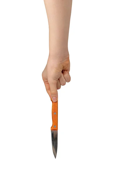 Stalowy Nóż Kuchenny Izolacji Własnej Wygodne Noże Kuchenne Mały Nóż — Zdjęcie stockowe
