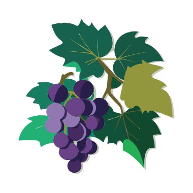Üzüm Simgesi, Üzüm Grafiği, Şarap Meyve Sembolü, Olgun Üzüm Paketi Logosu, Vektör Resimleri, Beyaz Arkaplan