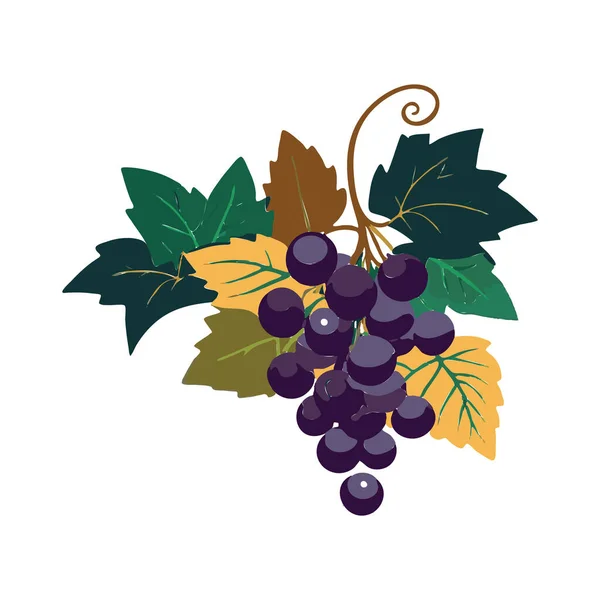 Icoana Struguri Pictograma Struguri Simbolul Fructelor Vin Logo Struguri Coapte — Vector de stoc