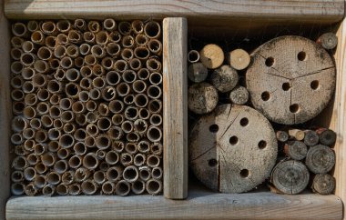 Yeni Böcek Evi, Böcek Oteli, Böcek Kış Sığınağı, Vahşi Yaşam Koruma Konsepti, Tahta Böcekler Sığınağı