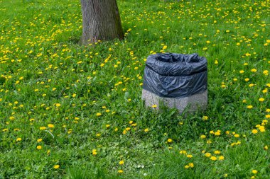 Park 'ta Beton Çöp Kutusu, Büyük Vandal-Dirençli Çöp Kutusu, Çöp ve Geri Dönüşümsüz Atıklar İçin Büyük Ağır Çöp Kutusu
