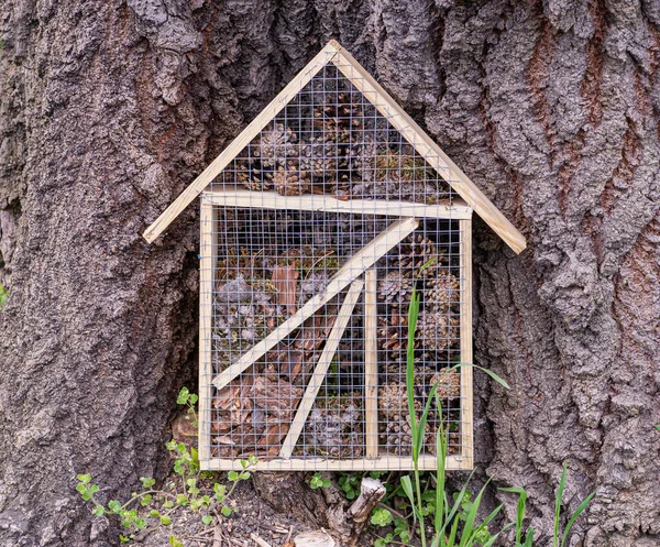 New Insect House, Bug Hotel, Insect Winter Shelter, Wildlife Protection Concept, Wooden Insects Shelter