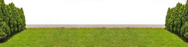 Тло Текстури Зеленого Хеджу Листя Шпалери Візерунок Відлуння Макет Стіни — стокове фото