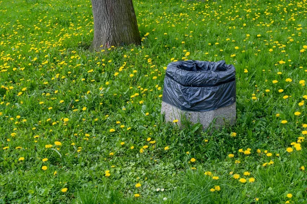 공원에 구체적인 쓰레기통 거대한 파괴자 저항하는 쓰레기통 쓰레기를 무거운 폐기물 — 스톡 사진