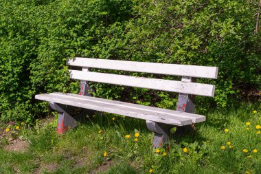 Park 'taki Eski Ahşap Benç, Açık Şehir Mimarisi, Yeşil Tahta Banklar, Açık Sandalye, Şehir Mobilyası, Boş Plank Koltuğu, Dinlenme Alanındaki Rahat Benç, Eski Benç